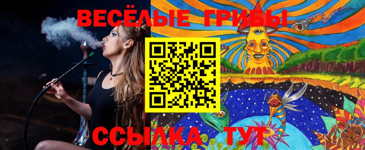 Псилоцибиновые грибы Cubensis Шатура